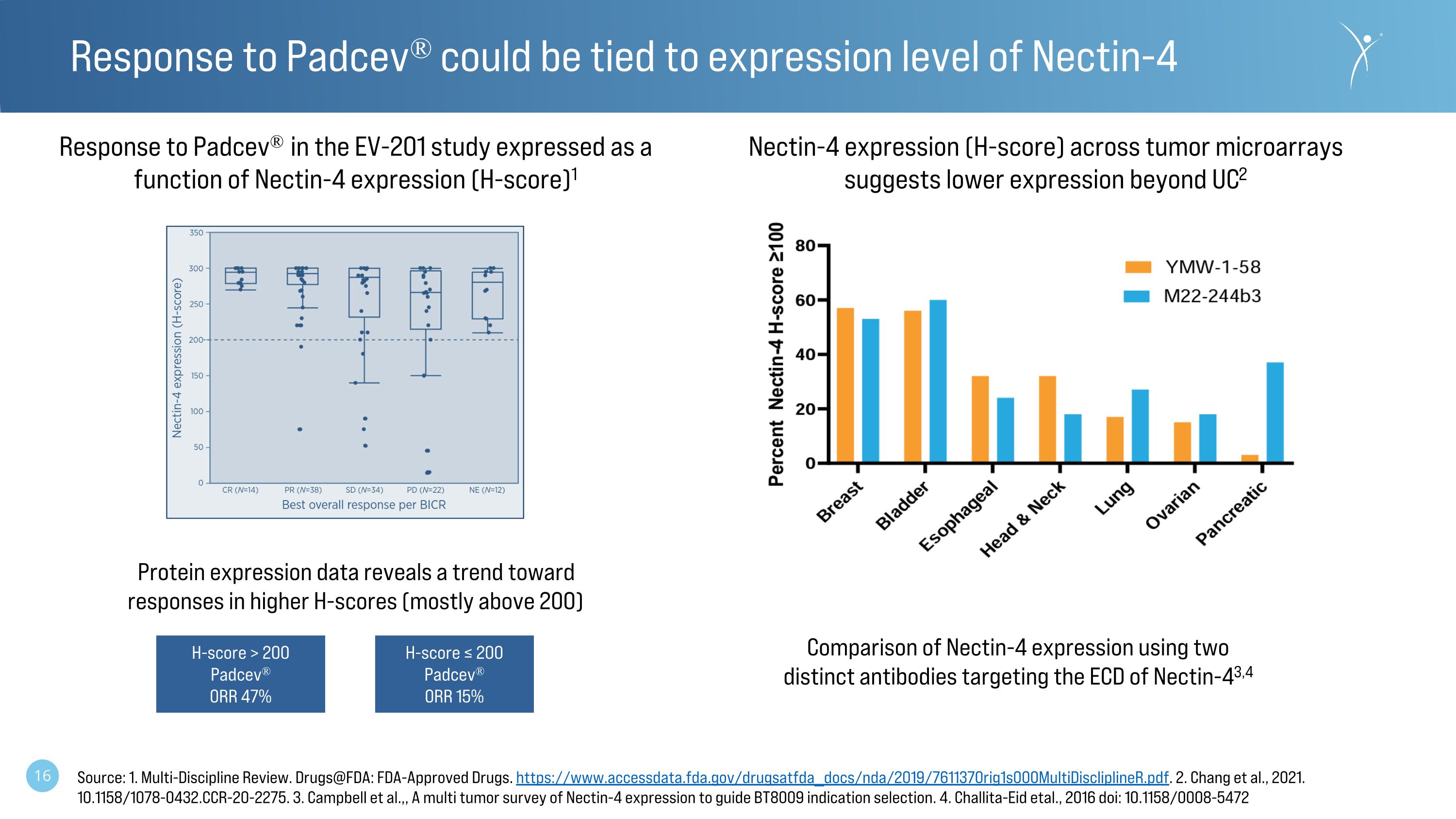 Slide 16