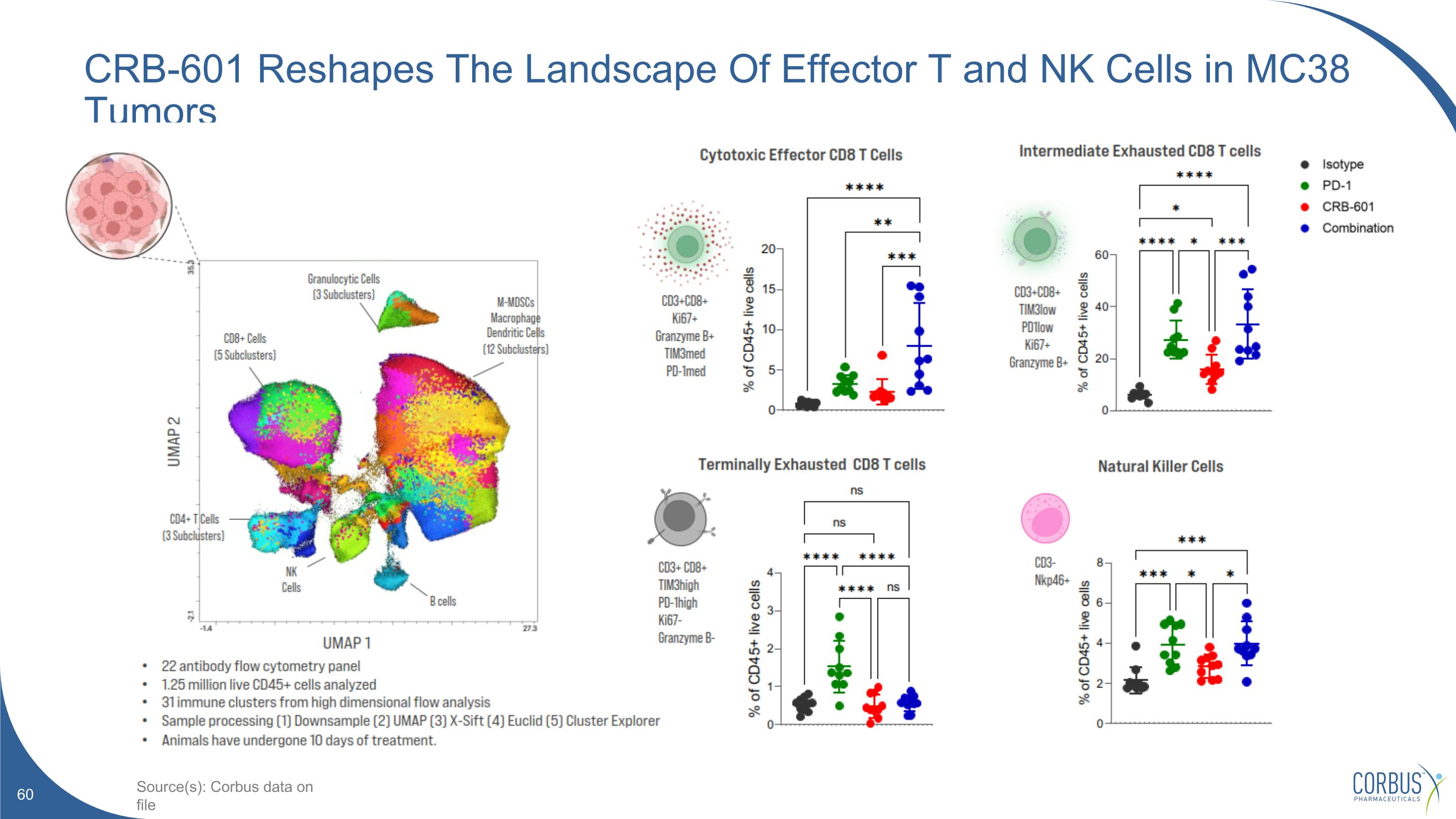 Slide 60