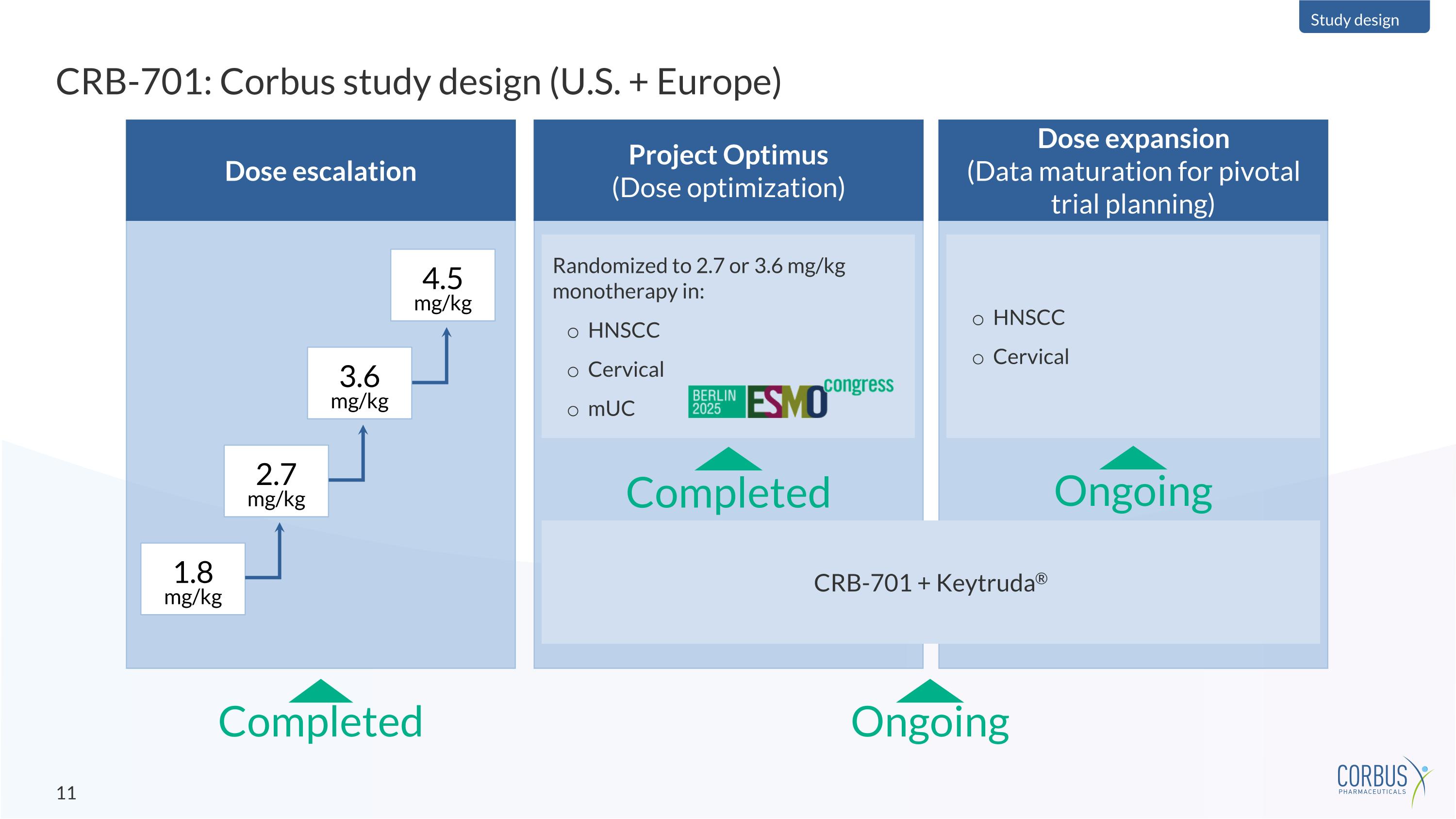 Slide 11