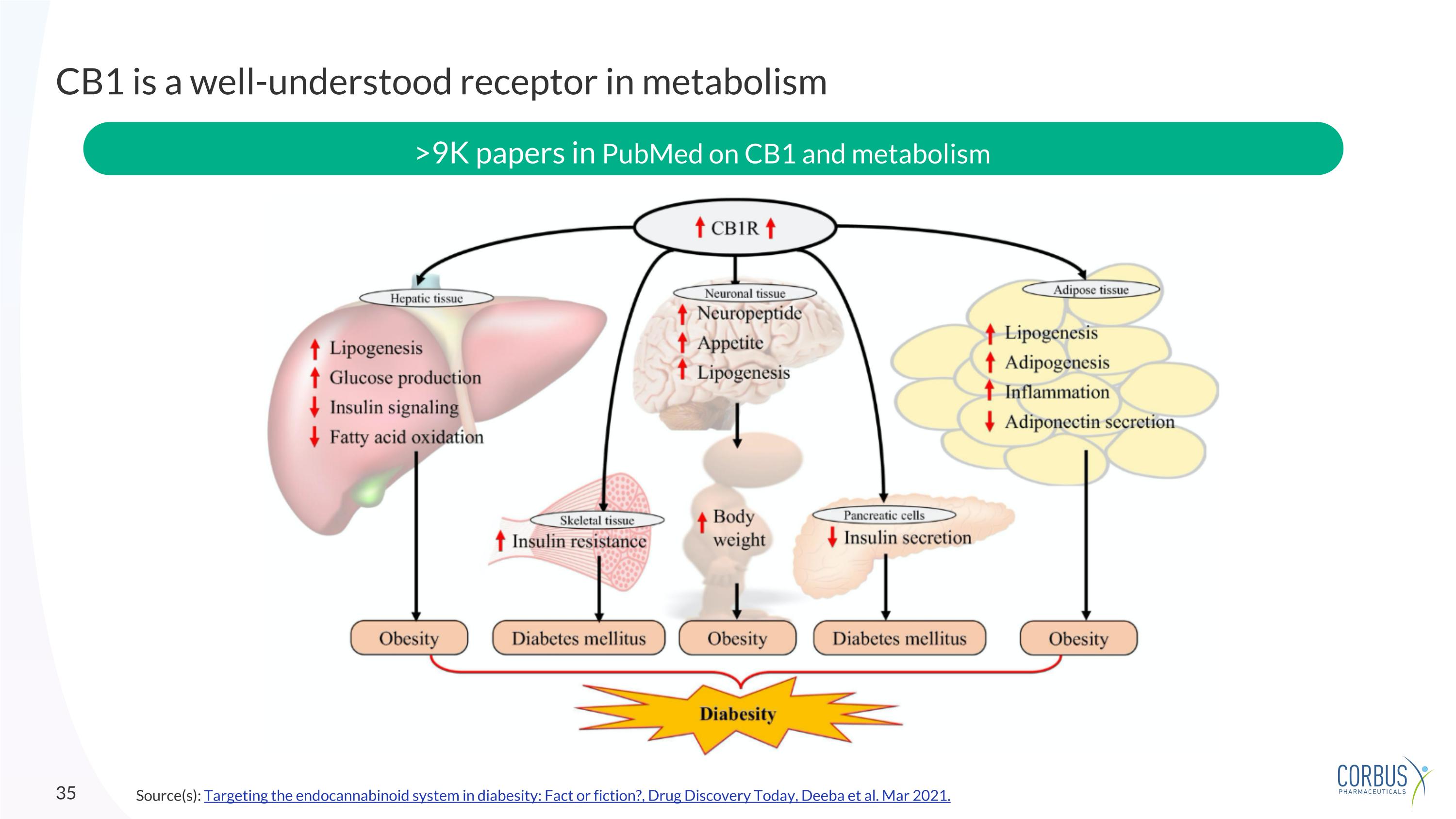 Slide 35