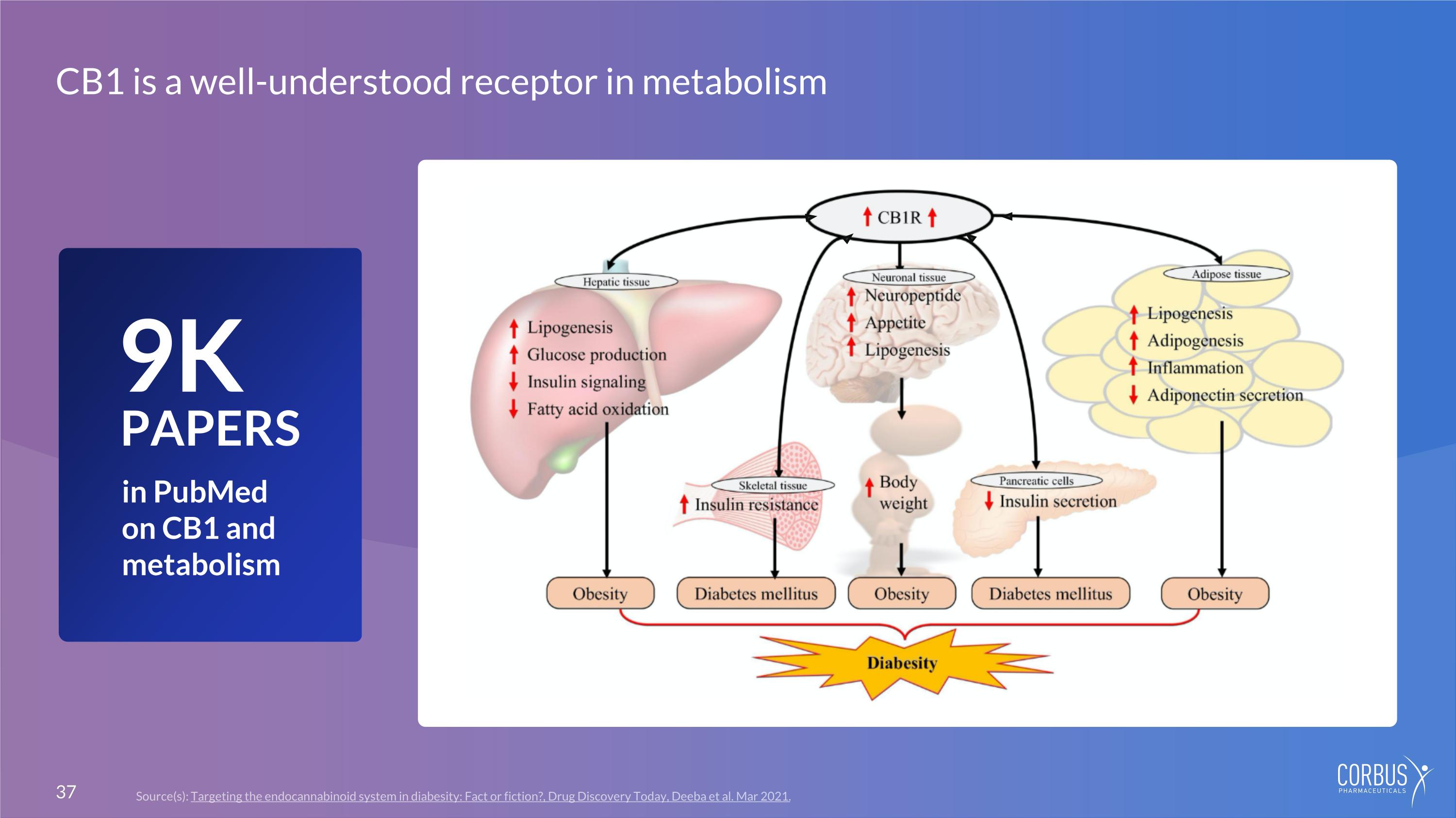 Slide 37