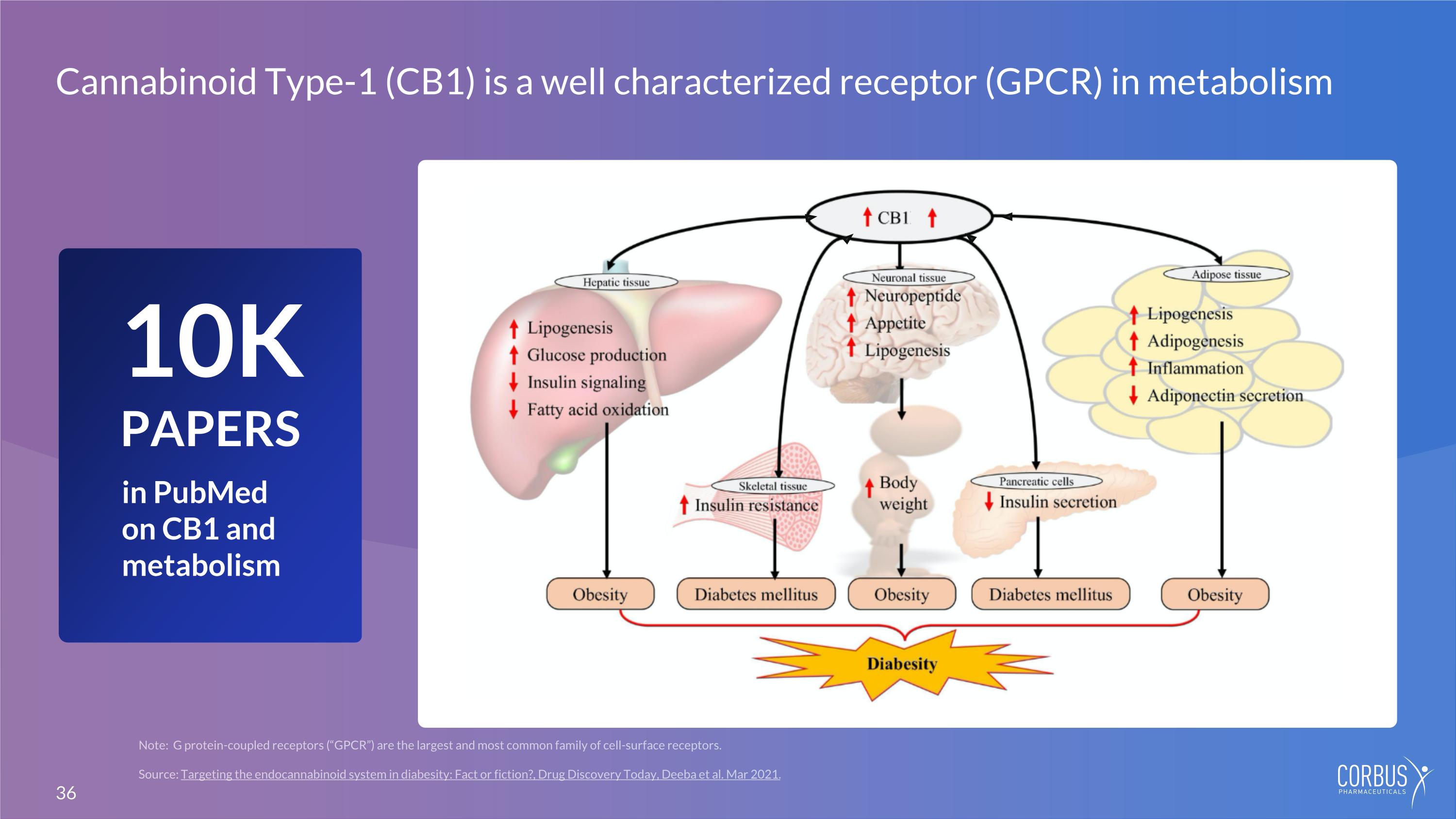 Slide 36