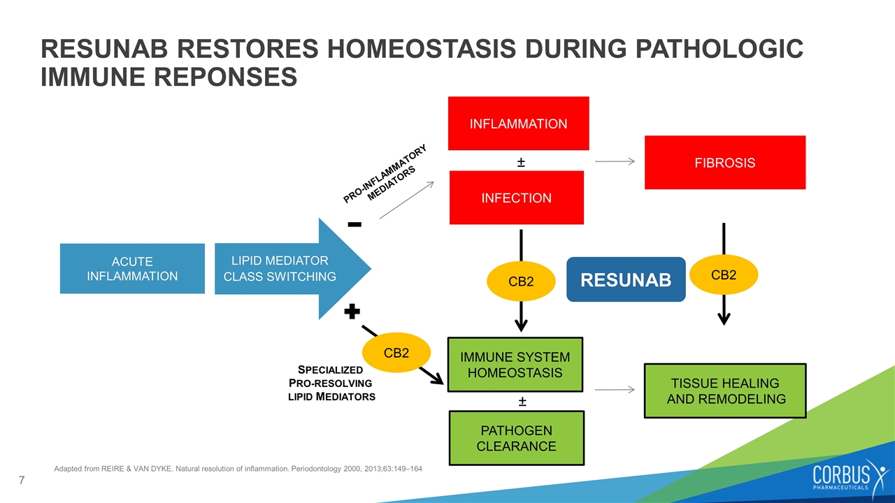 Slide 7