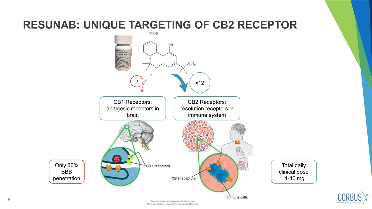 Slide 8