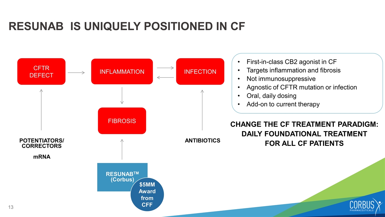 Slide 13