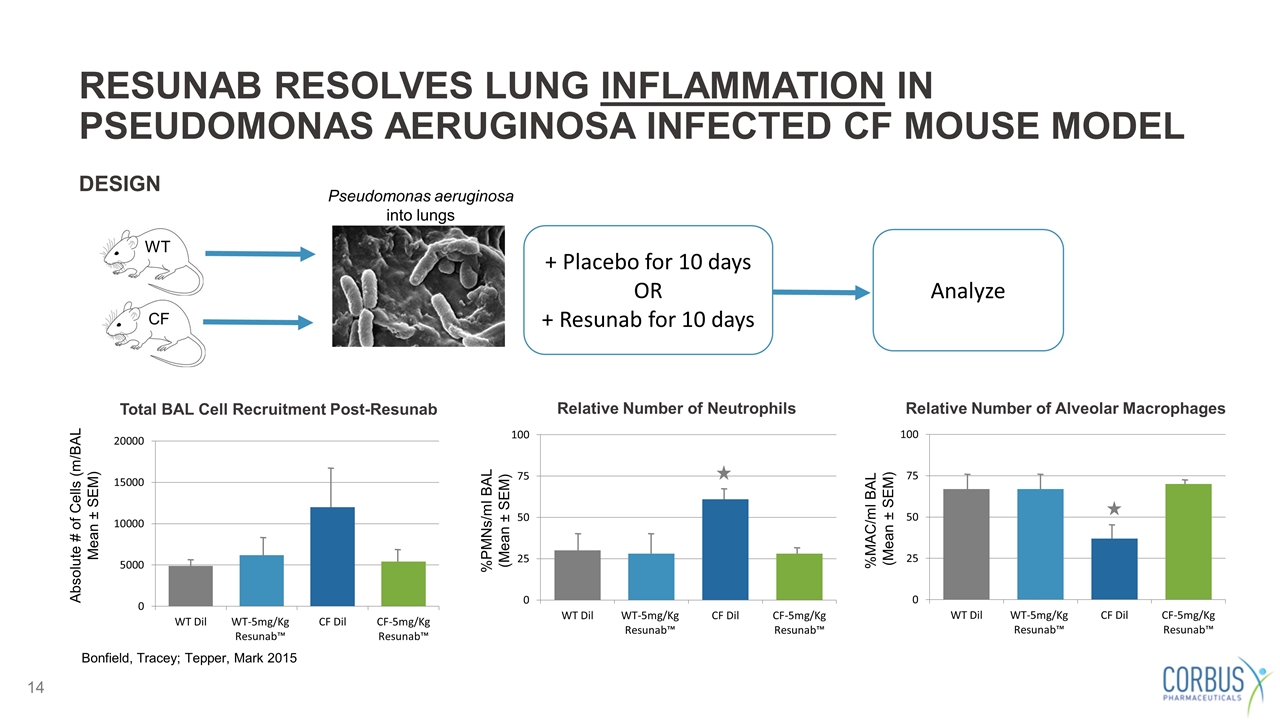 Slide 14