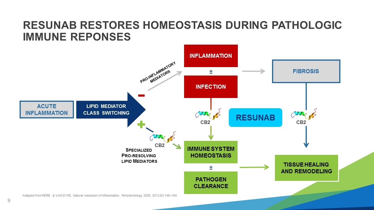 Slide 9