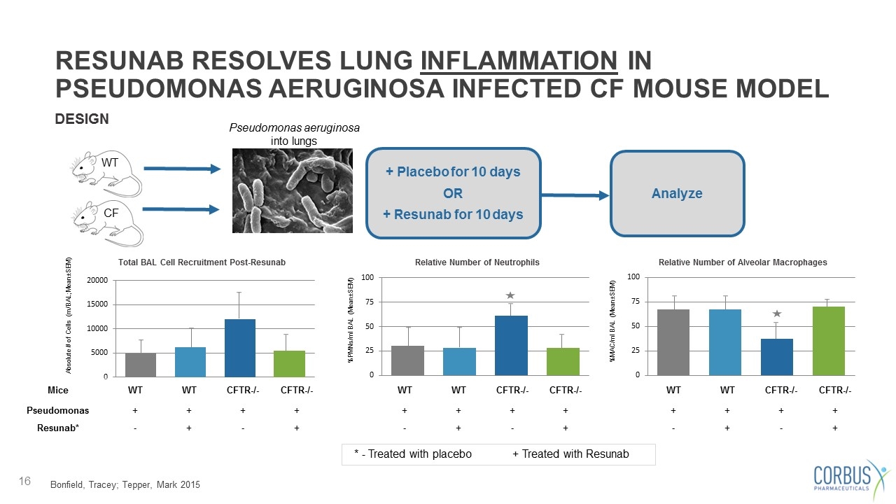 Slide 16