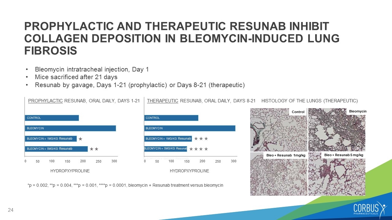 Slide 24